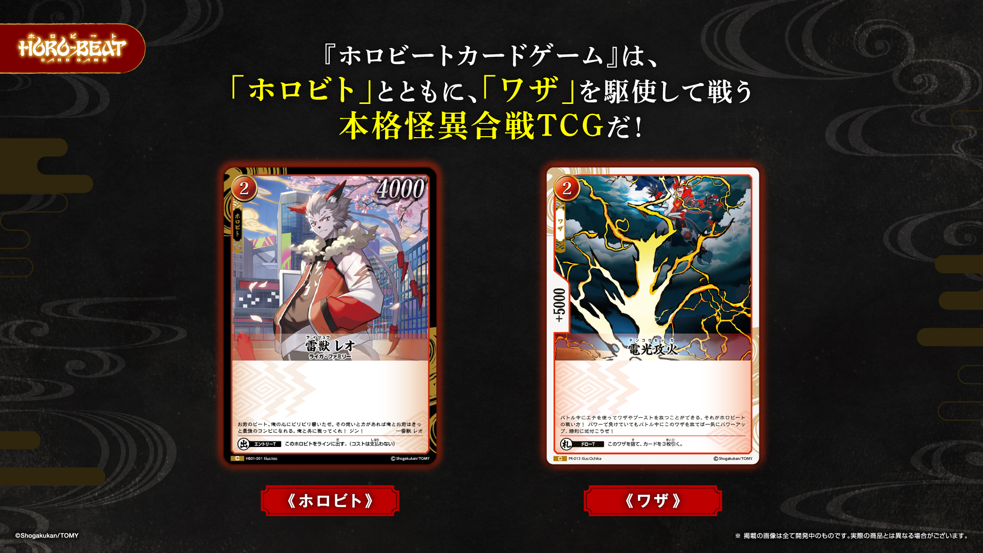 การ์ด 2 ประเภท: โฮโรบิโตะ กับ วาซะ
